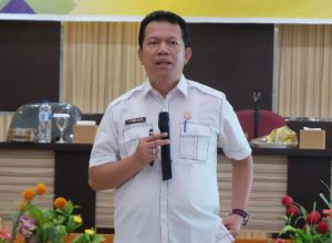 Kadiskes: Kasus Gagal Ginjal Akut Misterius Belum Ditemukan di Riau