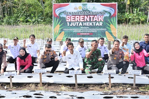 Johansyah Syafri Ikuti Panen dan Tanam Jagung Serentak Bersama Kapolres