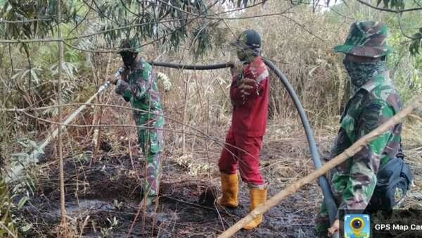 Dalam Sepekan, 28 Hektare Lahan di Dumai Terbakar