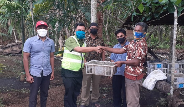 PT RAPP Salurkan Ribuan Bibit kepada Kelompok Tani Maju Jaya Tasik Putripuyu Kepulauan Meranti