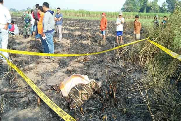 Nahas! Niat Hati Bakar Lahan Tebu, Petani Ini Pun Ikut Tewas Terpanggang
