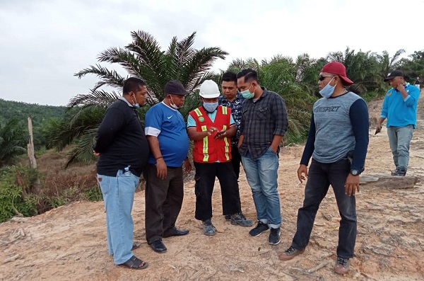 Hasil Investigasi LAMR Pelalawan 2 Hektare Lahan Sialang Ampaian Todung Ludes  Di-Steking PT Arara Abadi