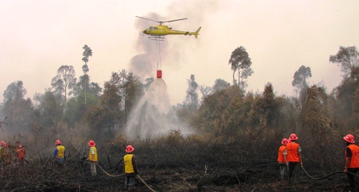 Kabut Asap Riau, RAPP Bantah Terlibat Karlahut