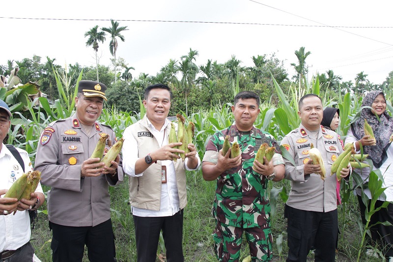 Kepala DKP Pekanbaru Bersama Jajaran Kepolisian Lakukan Panen Jagung dan Monitoring Aktivitas Petani di Sungai Sibam