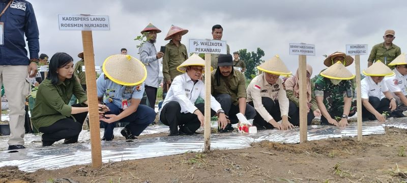 Launching Gertam Cabai, Muflihun Mau Pekanbaru Tak Lagi Datangkan  Cabai dan Bawang dari Luar Daerah