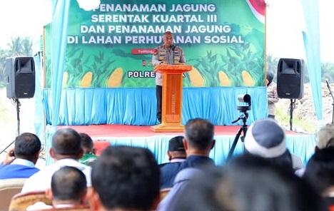 Polda Riau Bersama Pemkab Siak Lakukan Penanaman Jagung