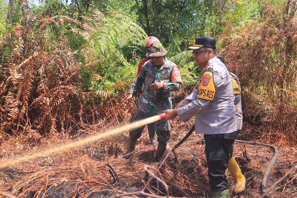 7 Hektare Lahan Gambut di Rimbo Panjang Kampar Terbakar
