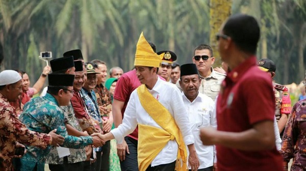 Begini Rencana Prosesi Adat untuk Jokowi oleh LAM Riau
