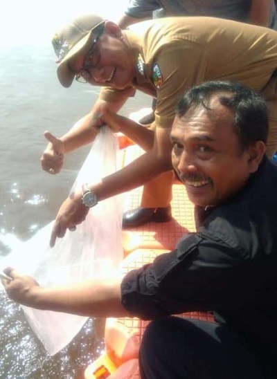 Camat Senapelan Lepas 100 Ribu Ekor Benih Ikan di Sungai Siak