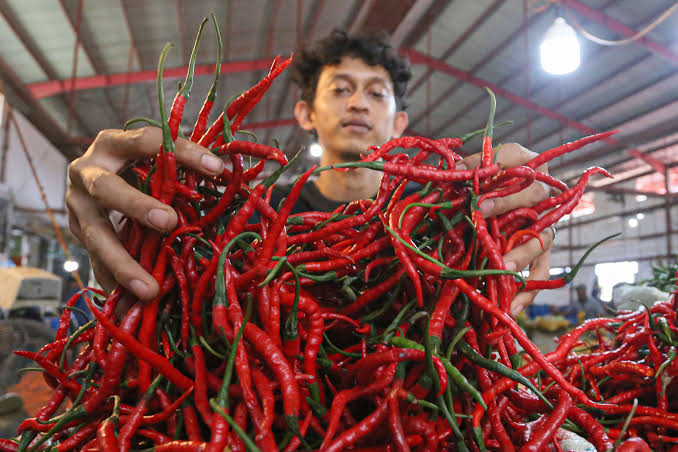 Harga Cabai Merah di Pekanbaru Mulai Turun