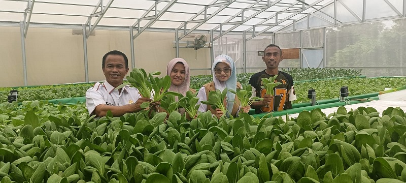 DKP Lakukan Survei dan Pendampingi Registrasi PSAT di Kelurahan Air Dingin