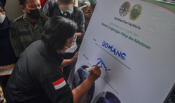 Menteri Siti Nurbaya Lakukan Pertemuan Tertutup Bahas  Balai Taman Nasional Tesso Nilo