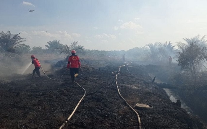 Polisi Tetapkan Satu Tersangka Kebakaran Lahan di Tebing Tinggi Okura