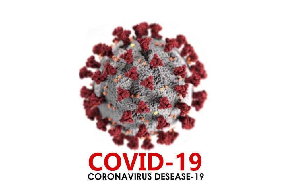 Tim Satgas COVID-19 Rohul Evaluasi SOP Penanganan Virus Corona