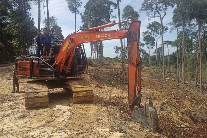 3 Alat Berat Ditahan, 11 Orang Diminta Keterangan Terkait  Perambahan Hutan di Gunung Sahilan
