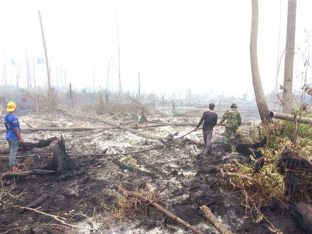 TNI dan Warga Berjibaku Padamkan Api di Meranti, Kebakaran Makin Meluas