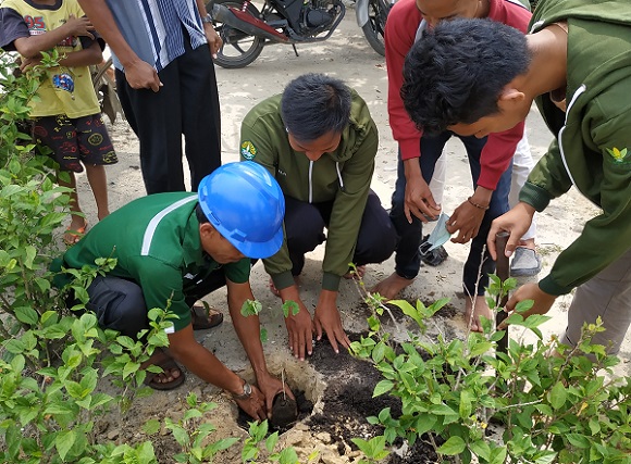 Kukerta Universitas Riau Tanam 1.000 Pohon Peneduh dan Buah di Pangkalan Pisang