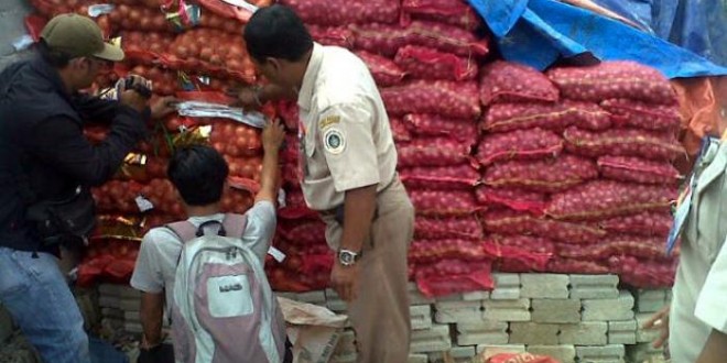 Bea Cukai Sudah Tangkap 236,62 Ton Bawang Ilegal Masuk Lewat Riau