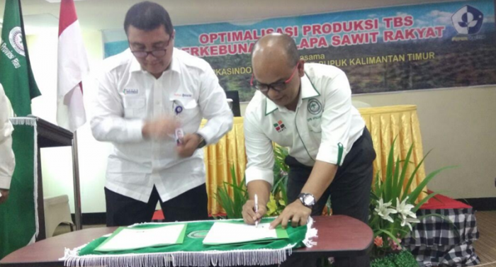 Tingkatkan Produksi Kelapa Sawit di Riau, Apkasindo Teken MoU dengan Pupuk Kaltim