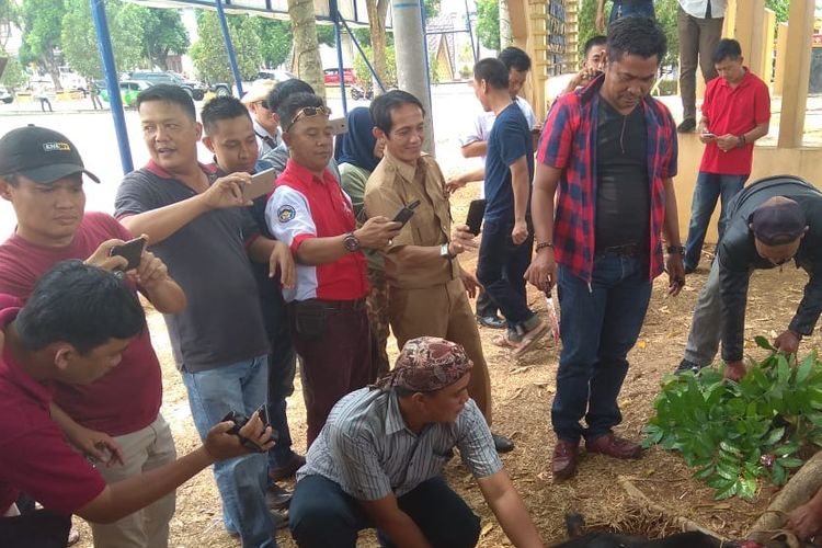 Bupatinya Ditangkap KPK, Warga Lampung Utara Malah Gembira, Sembelih Kambing di Halaman Kantor Pemda