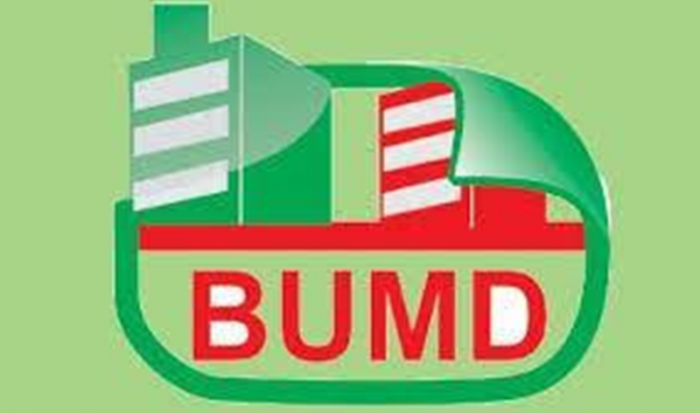 Pemprov Imbau BUMD Riau Segera Tuntaskan RUPS