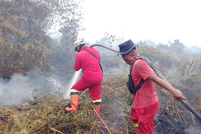 Makin Berasap, Karhutla Masih Menyala di 4 Kabupaten di Riau, Ini Lokasinya...