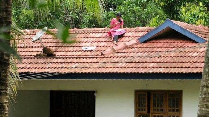 Susah Sinyal, Mahasiswi Ini Terpaksa Kuliah Online di Atap Rumah, Ini Penampakannya