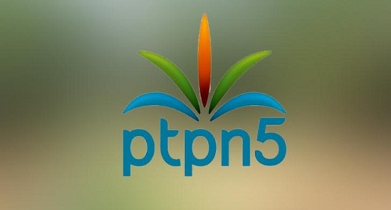 PTPN V Belum Terima Pemberitahuan Resmi PN Bangkinang Terkait Eksekusi 2.823 Ha Kebun di Tapung