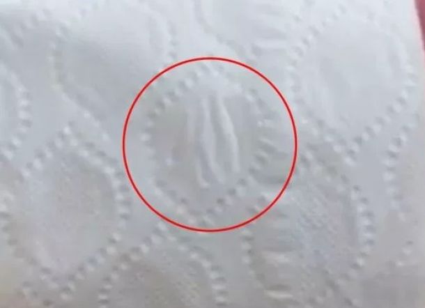 GEGER...Tissu Toilet Bergambar Lafaz Allah, Ada Bukti Videonya Nih