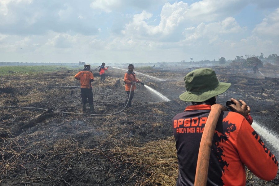 Riau Masuk Dalam Daftar Provinsi Prioritas Penanganan Karhutla Nasional