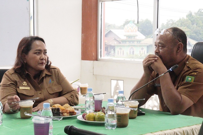 Pemkab Inhu Dukung Program IDAMAN, Perkuat Kesadaran Jamu Aman di Masyarakat