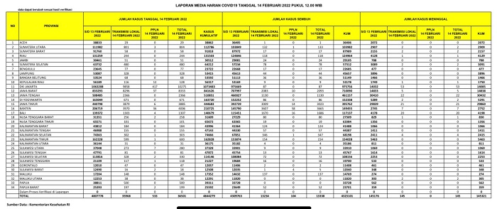 UPDATE: Bertambah 246 Kasus Konfirmasi Positif Covid-19 di Riau, 1 Orang Meninggal Dunia