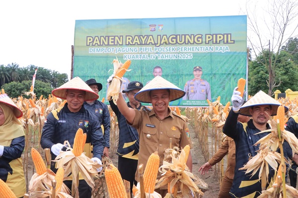 Dukung Asta Cita Presiden Prabowo, Bupati Kampar Panen Jagung di Perhentian Raja