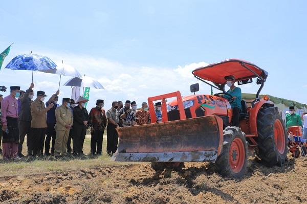 Dampingi Wakil Menteri Pertanian dan Wagub, Wali Kota Panen Raya Jagung Pipil Hibrida di Agrowisata Rumbai