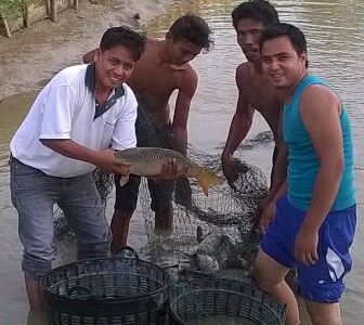 SENANGNYA...Dibantu RAPP, Kelompok Sepakat Tani Makmur Kuansing Segera Panen Berton-ton Ikan