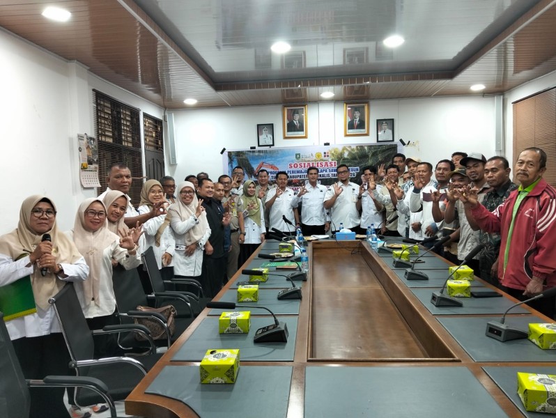 Dinas Perkebunan Bengkalis Gelar Sosialisasi Peremajaan Sawit Rakyat