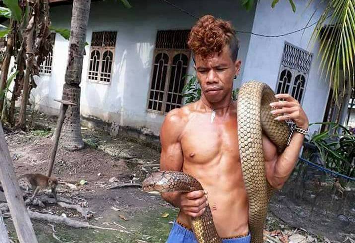 LAGI HEBOH...Panji dari Riau Main-main dengan King Kobra di Mentulik Kampar, Ini Foto-fotonya....