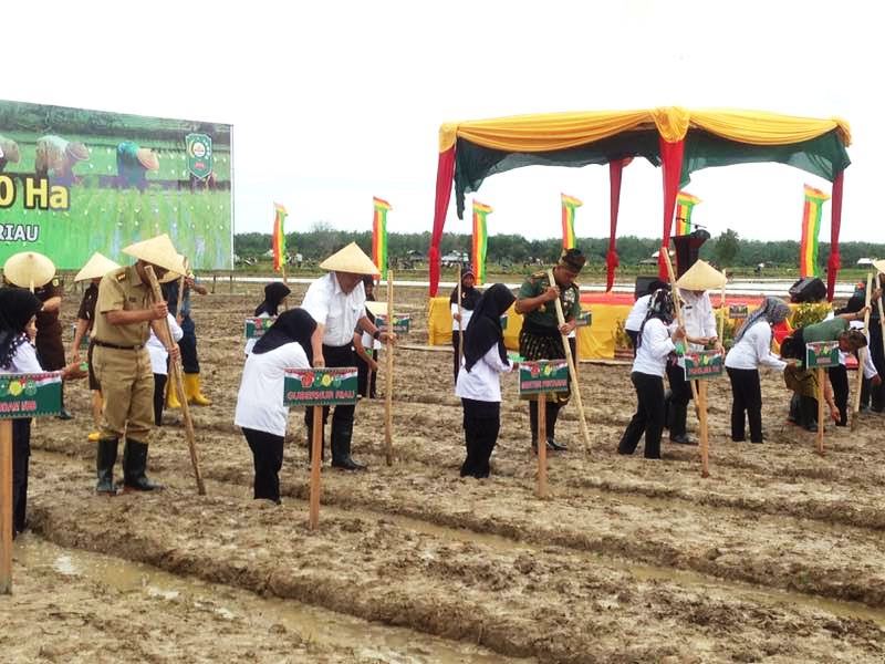 Panglima TNI dan Gubri Tanam Padi dan Jagung di Siak