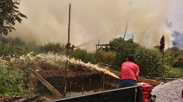 Cuaca Panas, Karhutla Terjadi di Kemayan Bantan, Kabupaten Bengkalis