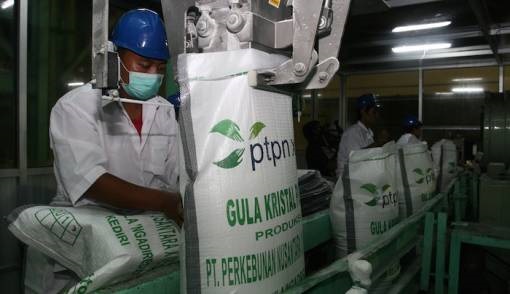 BUKANNYA BERTAMBAH, Kementerian BUMN Akan Tutup 9 Pabrik Gula Milik PTPN, Begini Nasib Pegawainya...