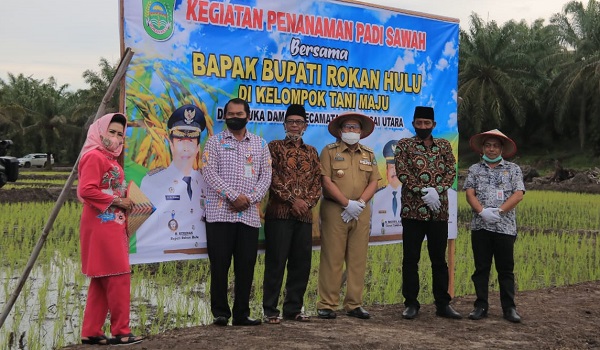 Cetak Sawah Baru, Bupati  Sukiman Dukung Terobosan Pemdes Suka Damai Tambusai Utara
