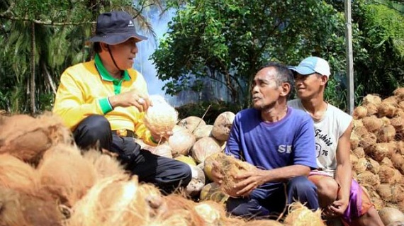 Bupati Inhil Apresiasi Rencana Pembentukan Koalisi Daerah Penghasil Kelapa