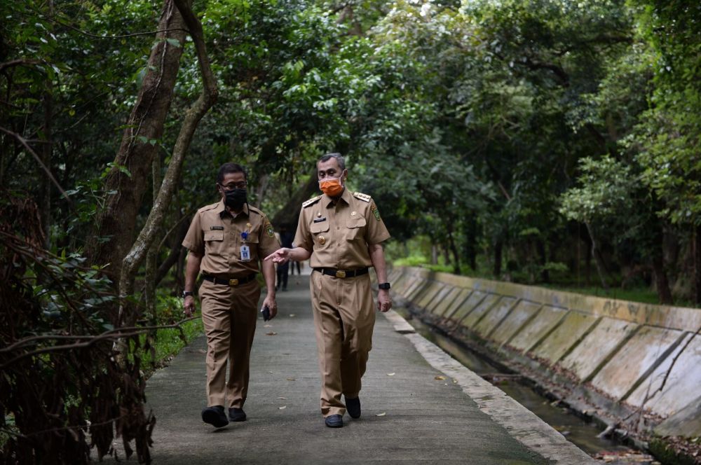 Gubri Ingin Hutan Kota Pekanbaru Ditanami Pohon Khas dari Seluruh Indonesia