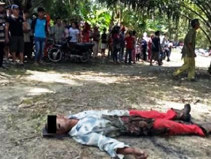 Nahas... Panen Sawit, Ngadiman Tewas Terbakar karena Kesentrum Kabel PLN
