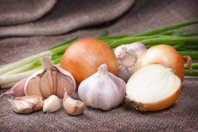 Manfaat Inulin untuk Kesehatan Tubuh