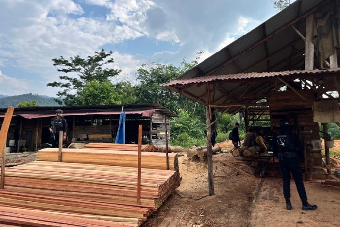 Polda Riau  Amankan Ratusan Batang Kayu Hasil Illegal Logging Milik Sawmill di Kampar