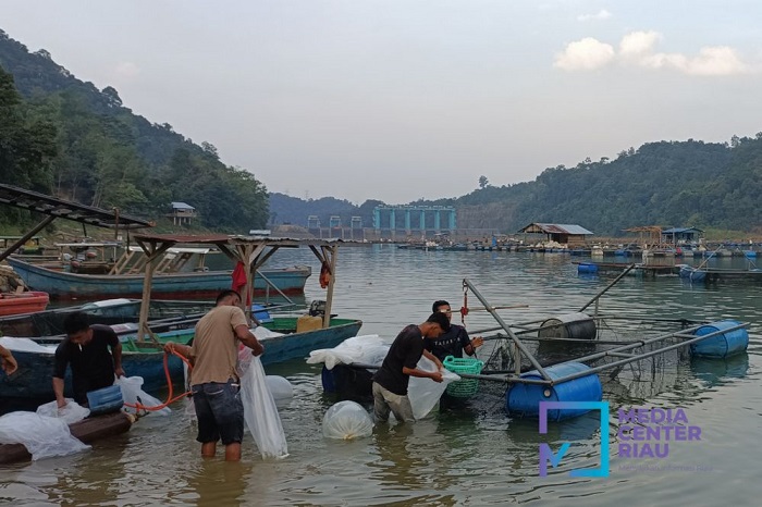 HATI-HATI! 5 Pintu Pelimpah PLTA Koto Panjang Dibuka Setinggi 70 Cm