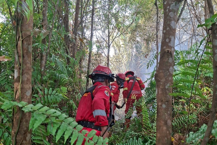Empat Regu Manggala Agni  Masih Kerja Keras Tuntaskan Karhutla di Bengkalis
