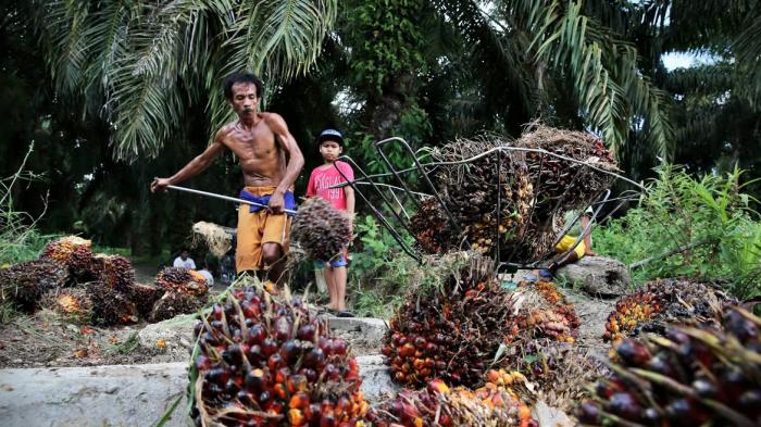 Gawat, Uni Eropa Kenakan Bea Masuk 8-18 Persen Biodiesel Sawit Indonesia