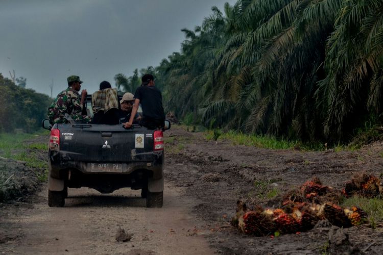 Gara-gara Harimau Bonita, Produktivitas Kerja Karyawan PT THIP Menurun